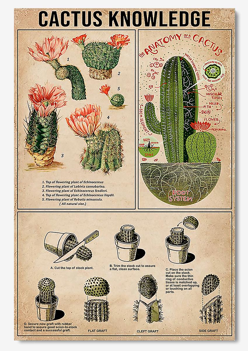 Cactus Knowledge Wall Art For Catus Lover Planter Home Decor Poster