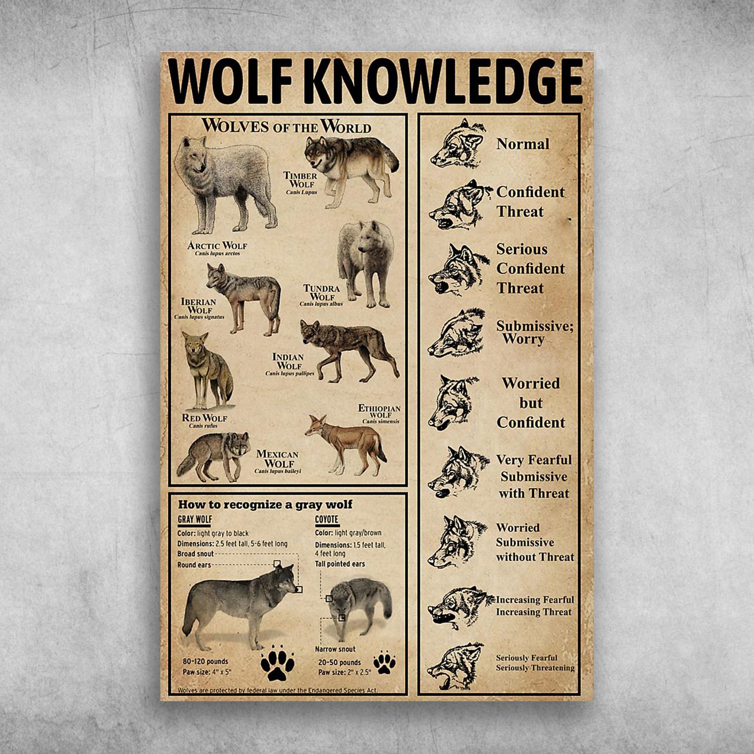 Wolf Knowledge Wolves Of The World Poster Print, Canvas Print, Canvas Wall Art, Canvas And Poster Wall Decor