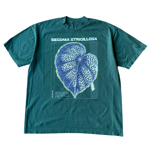 Begonia Strigillosa Tee Shirt Outfit