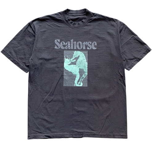 Seahorse Love Tee Shirt Outfit