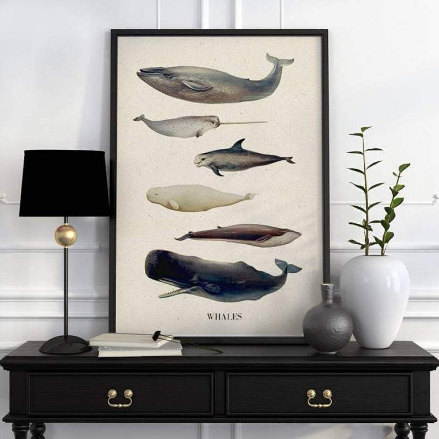 MA1512 – Sea – Sea whale – Poster