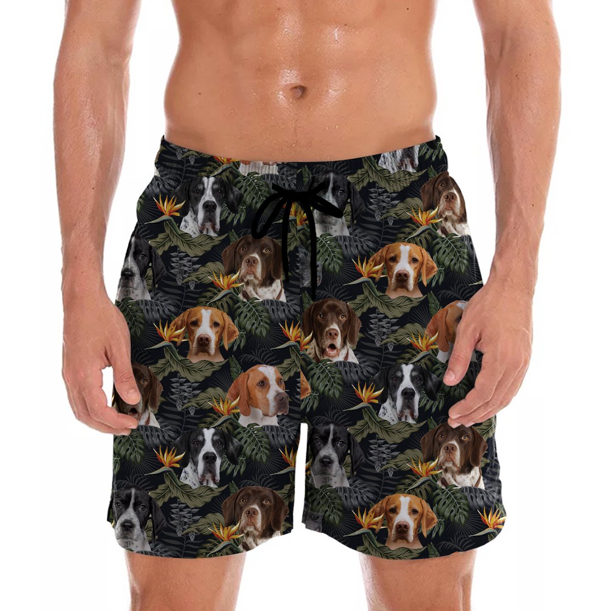 English Pointer Hawaii Shorts Ha64638