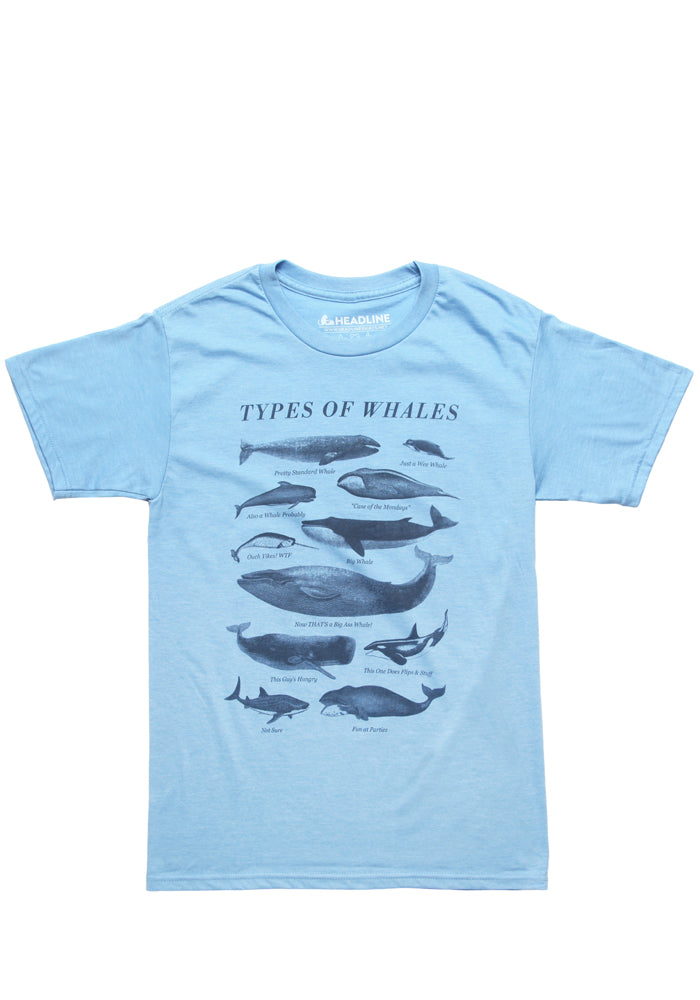 Types Of Whales T-Shirt