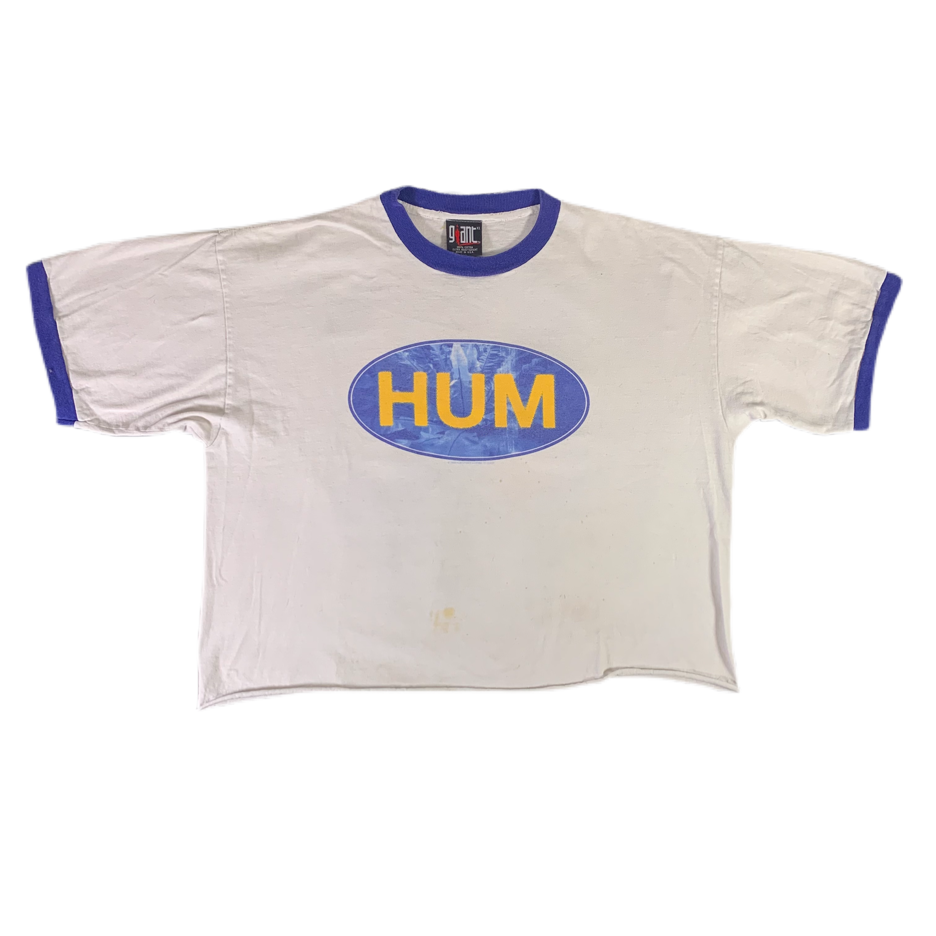 Vintage HUM “Downward Is Heavenward” Crop Cut Ringer Shirt