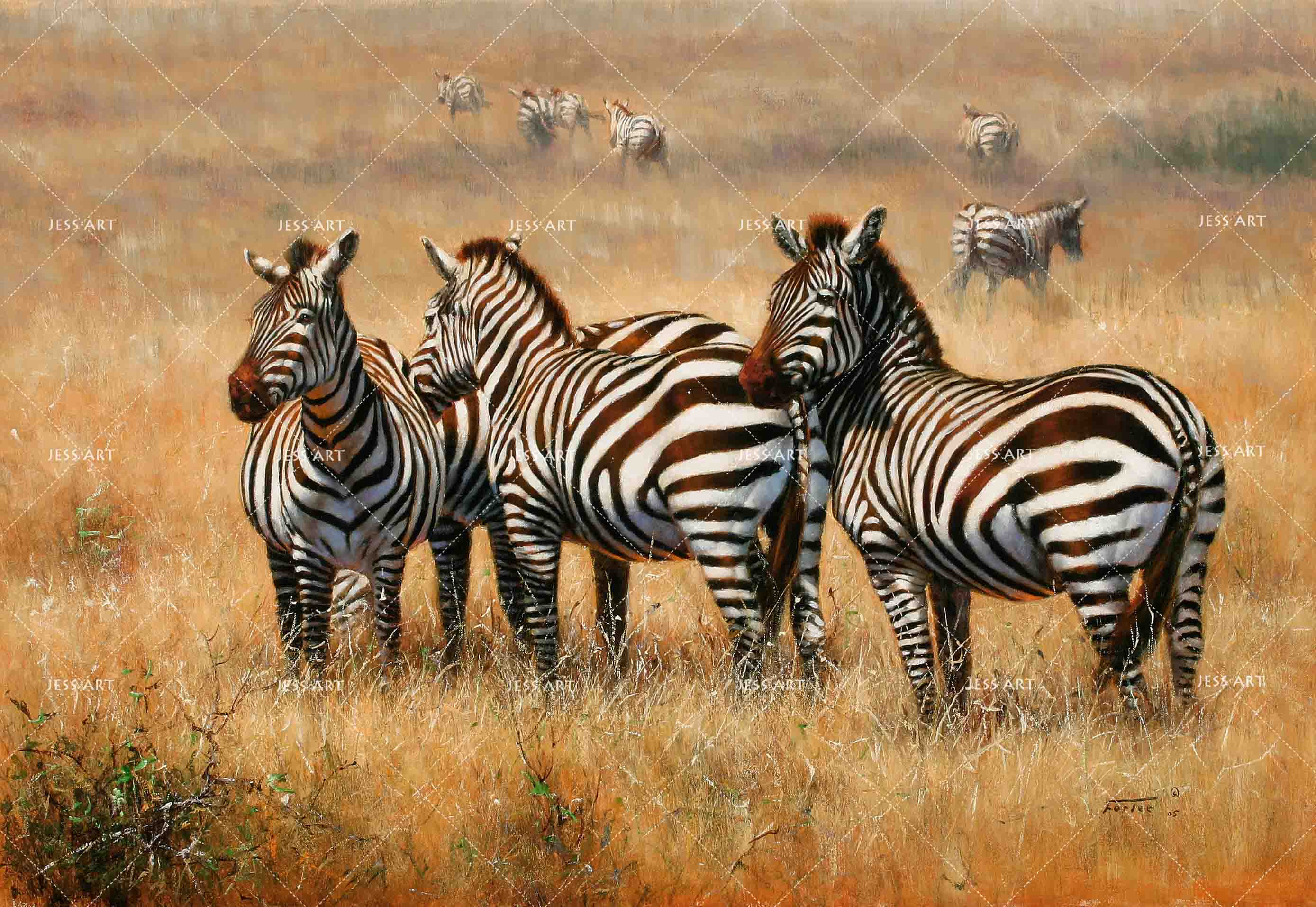 3D African Steppe Zebra Wall Mural Wallpaper 07