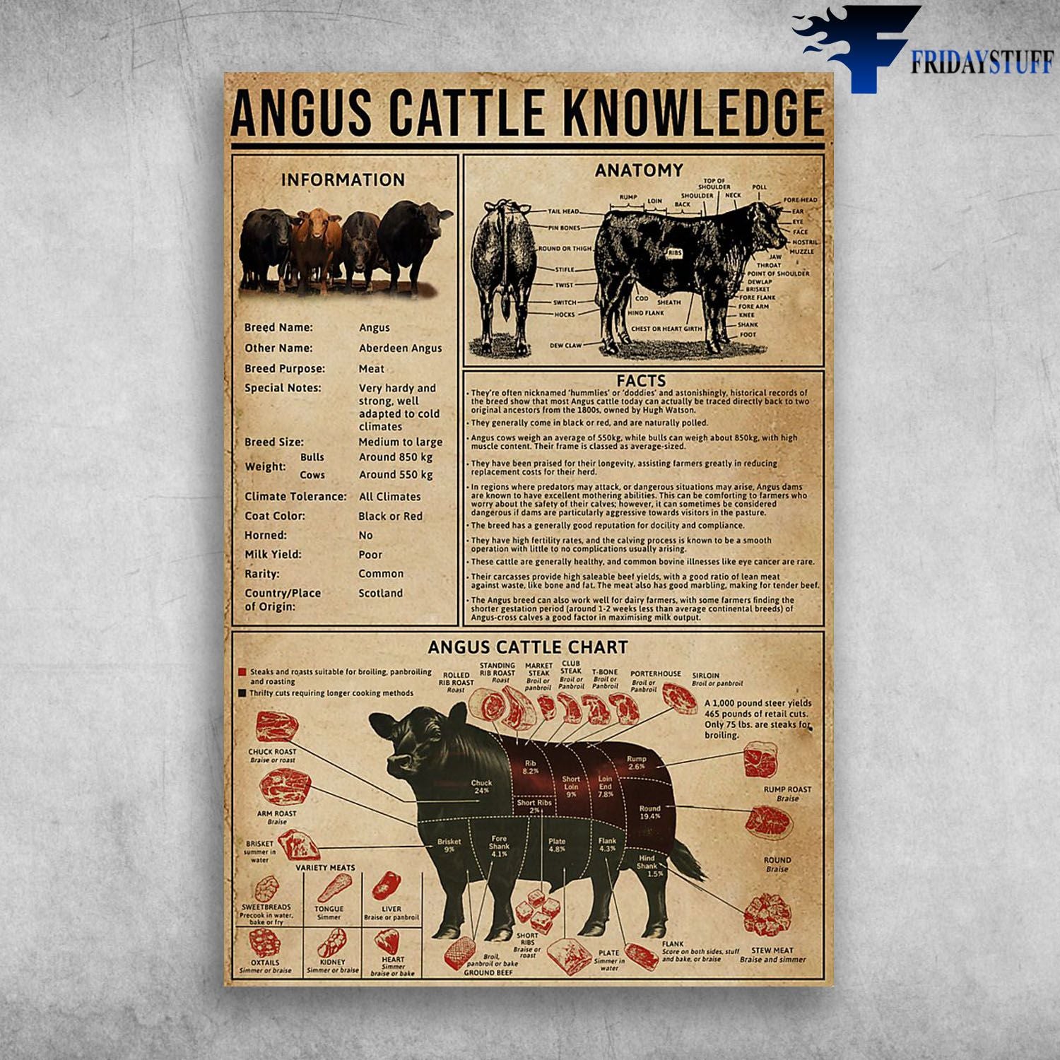 Angus Cattle Knowledge Angus Cattle Chart Angus Cattle Anatomy Canvas Christmas Gift Ideas