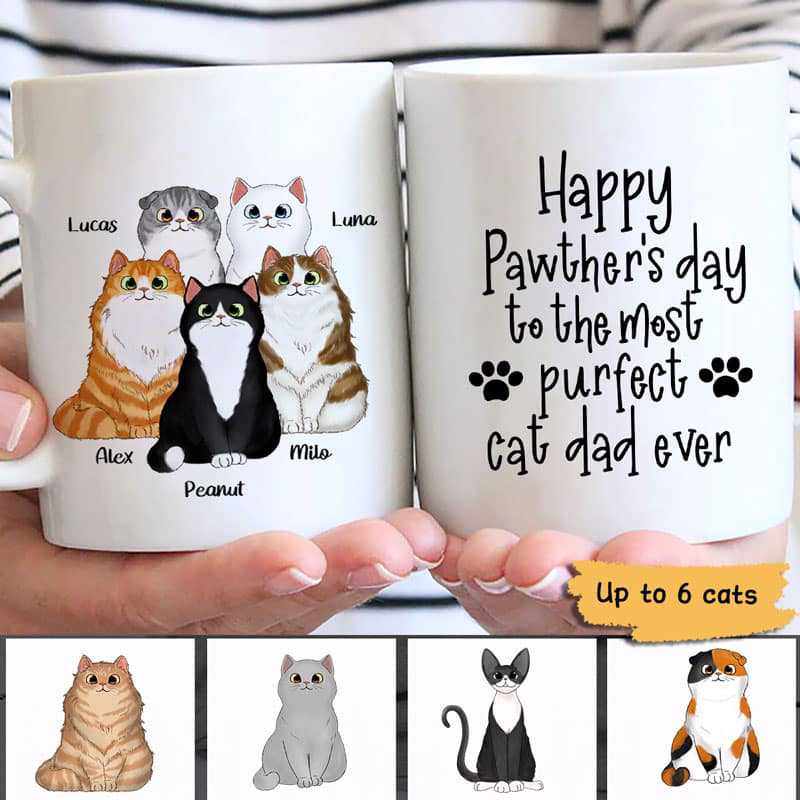 Happy Pawther‘S Day Dad Fluffy Cat Personalized Mug