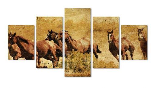 Wild Horse Animal 5 Panel Canvas Art Wall Decor