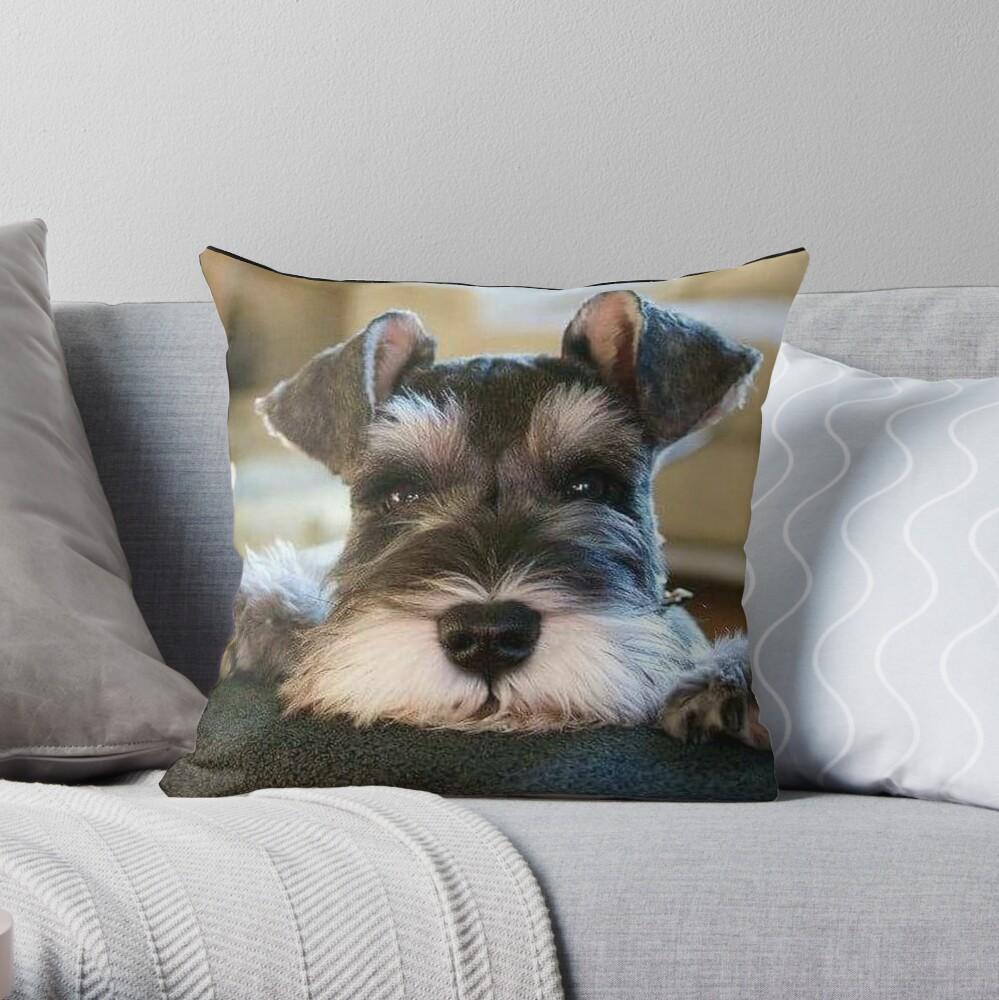 Schnauzer Dog Pets Dogs Cute Puppy Throw Pillow