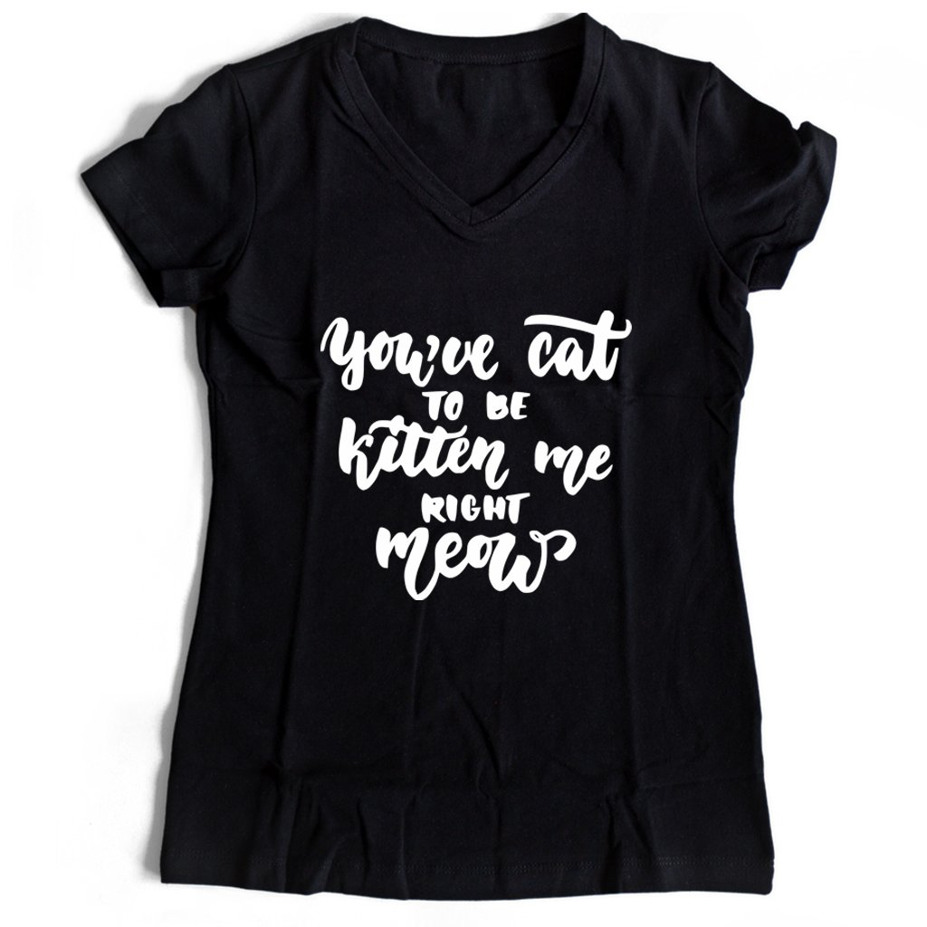 Are You Kitten Me Right Meow Cool Cute Women’s V-Neck Tee T-Shirt