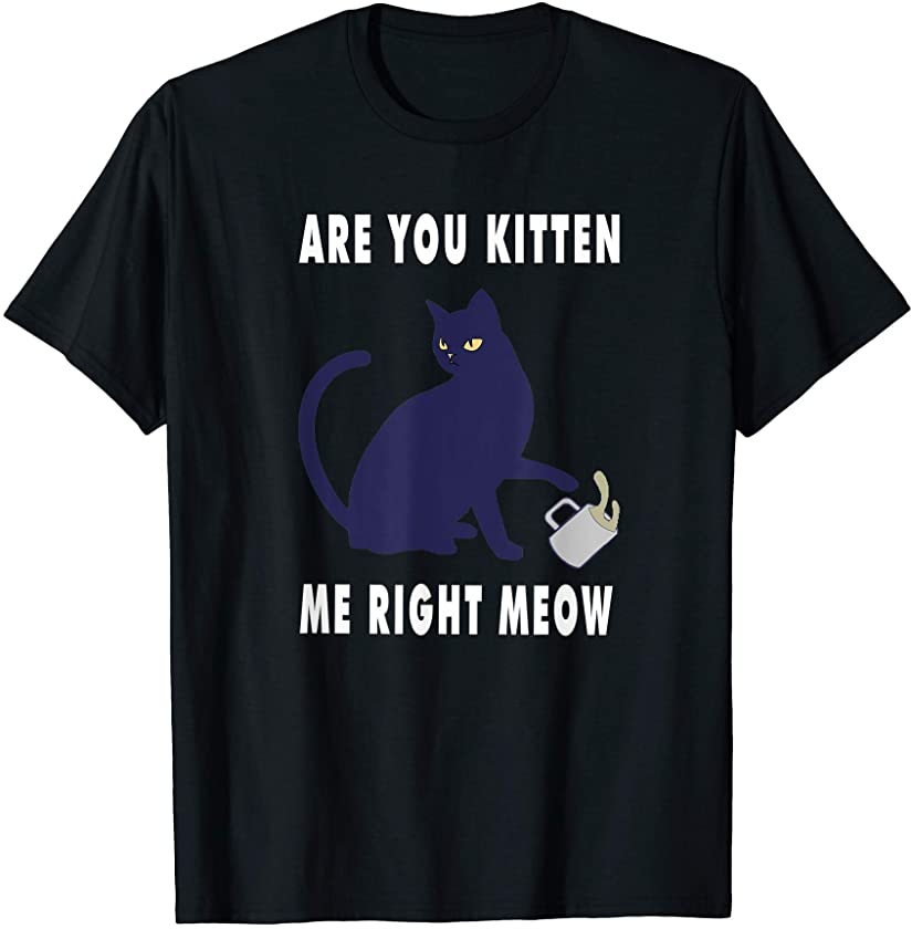 Are You Kitten Me Right Meow Catmom Sunset Novelty T-Shirt