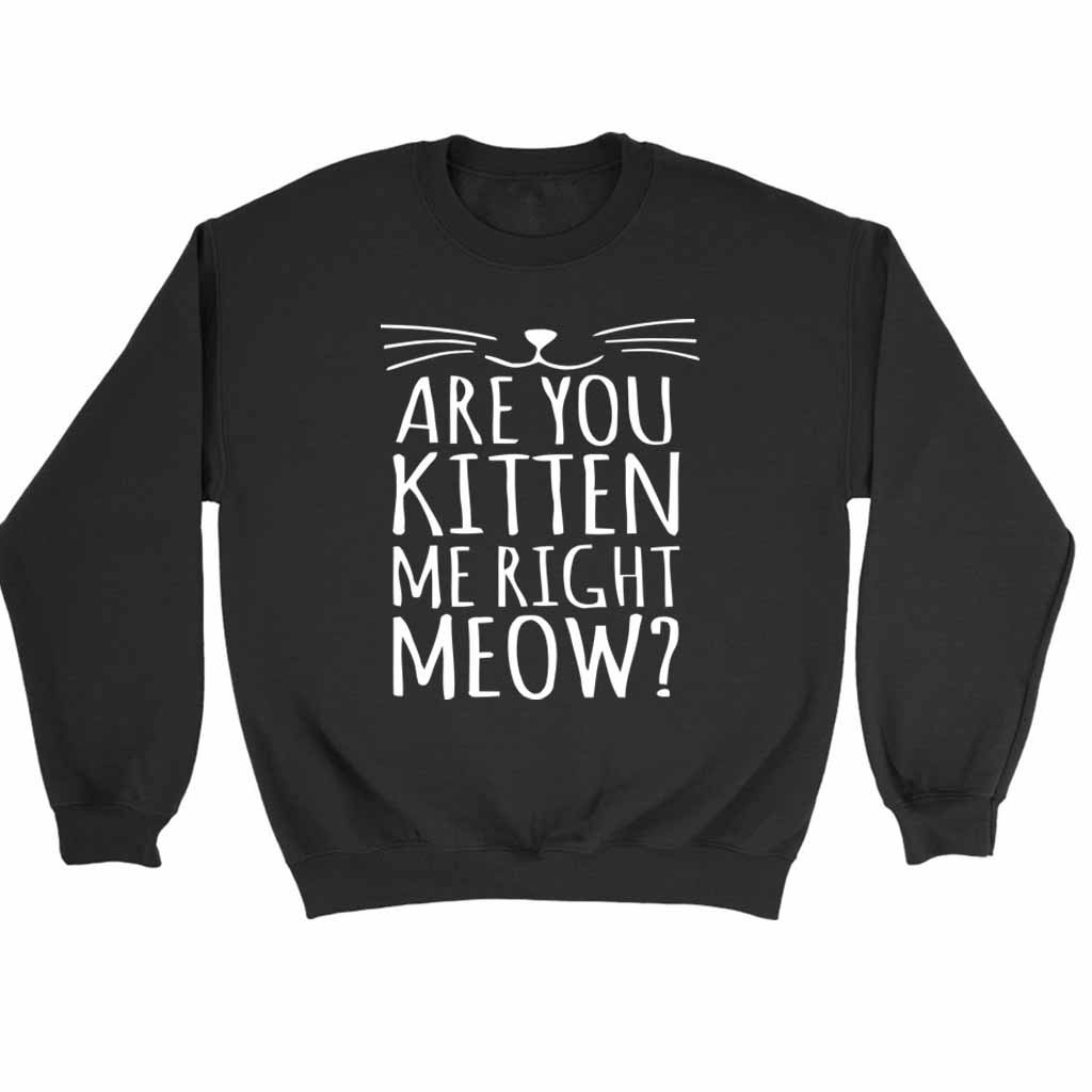 Are You Kitten Me Right Meow Funny Sweatshirt Sweater