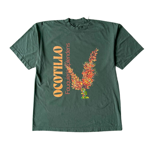 Ocotillo Tee Shirt Outfit