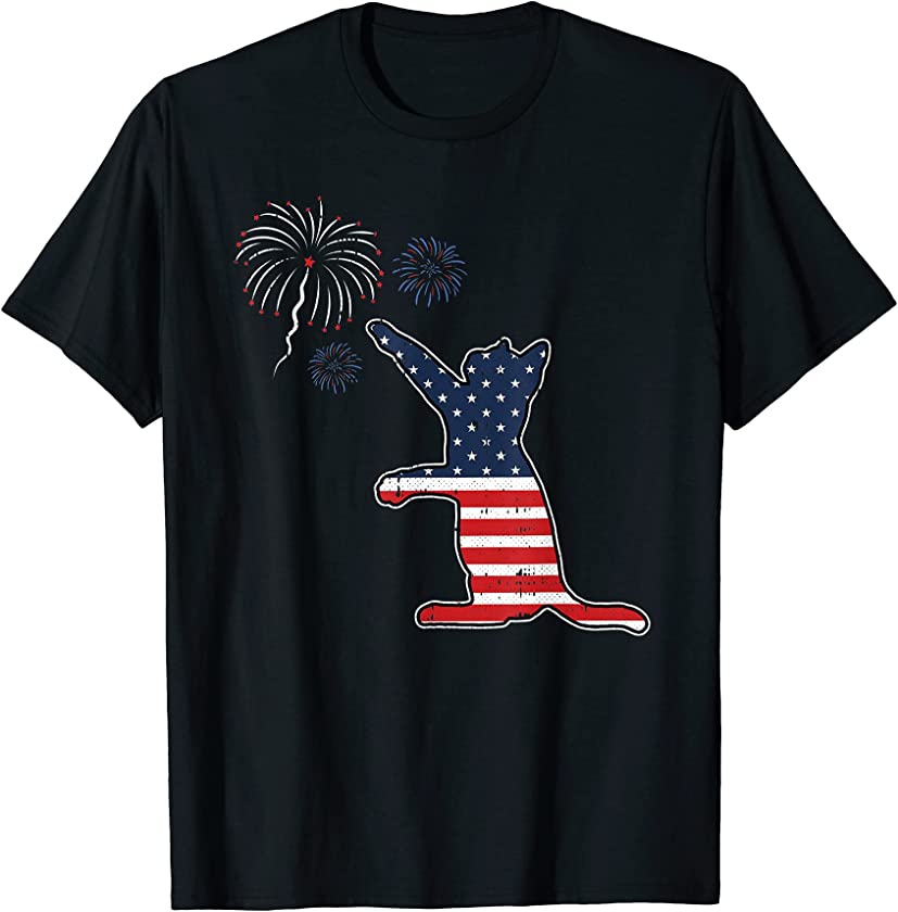 Cat Fireworks 4th Of July American Flag Patriotic Kitten T-Shirt