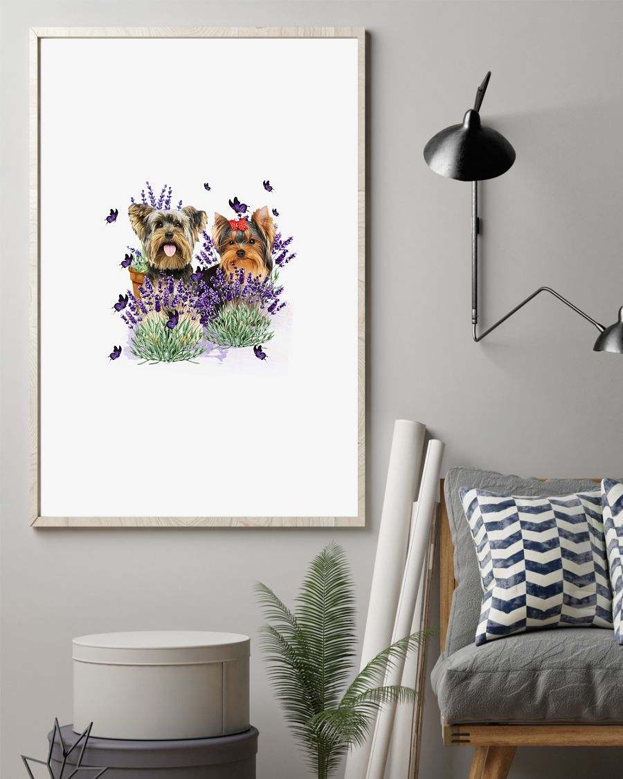 Yorkshire Terrier with lavender flower poster
