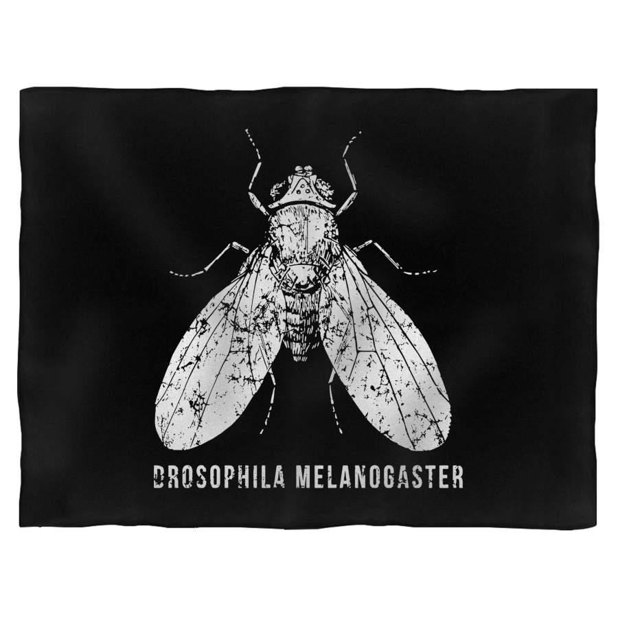 Drosophila Melanogaster Blanket