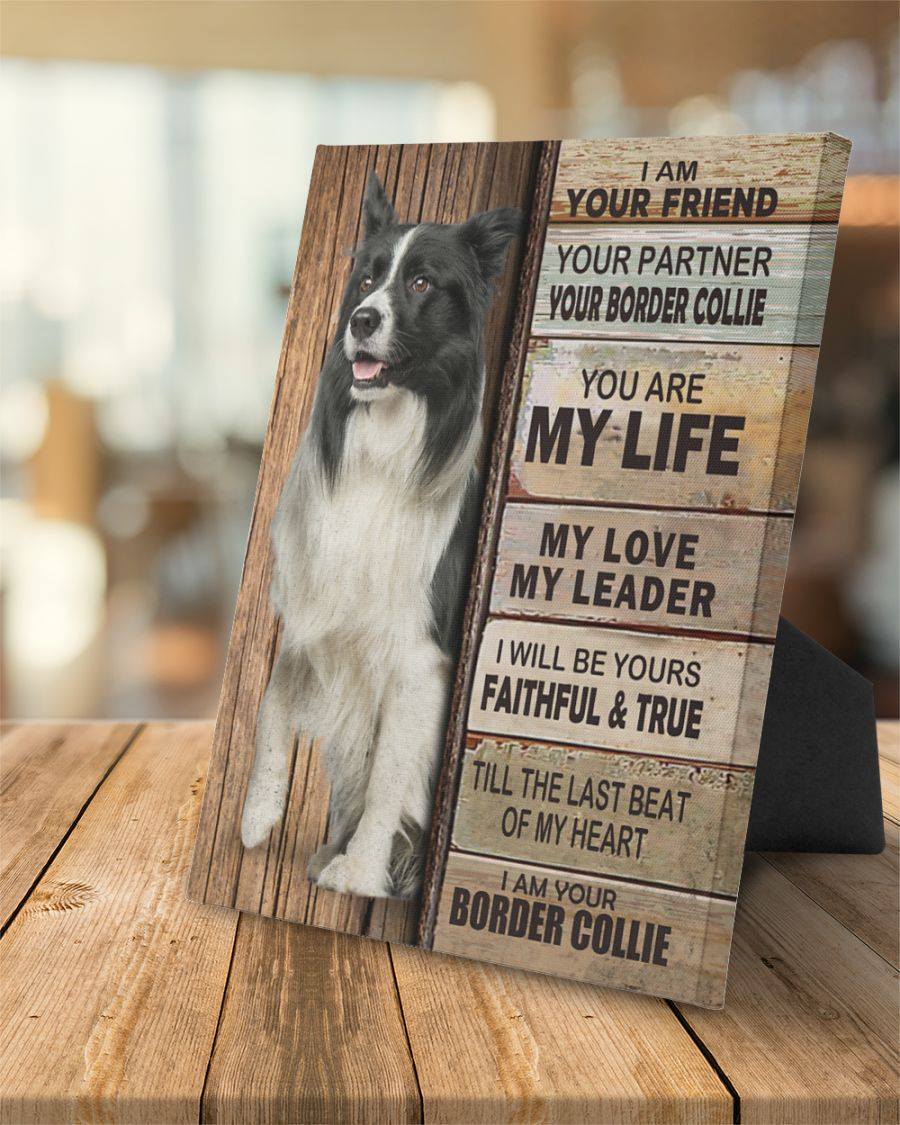 Border Collie Partner Canvas Gift for Friend Birthday Gift Warm Home Decor Wall Art Visual Art