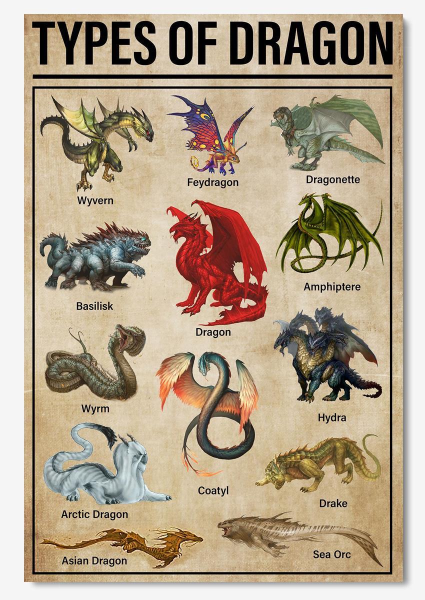 Types Of Dragon Animal Knowledge For Homeschool Nusery Kids Bedroom ...