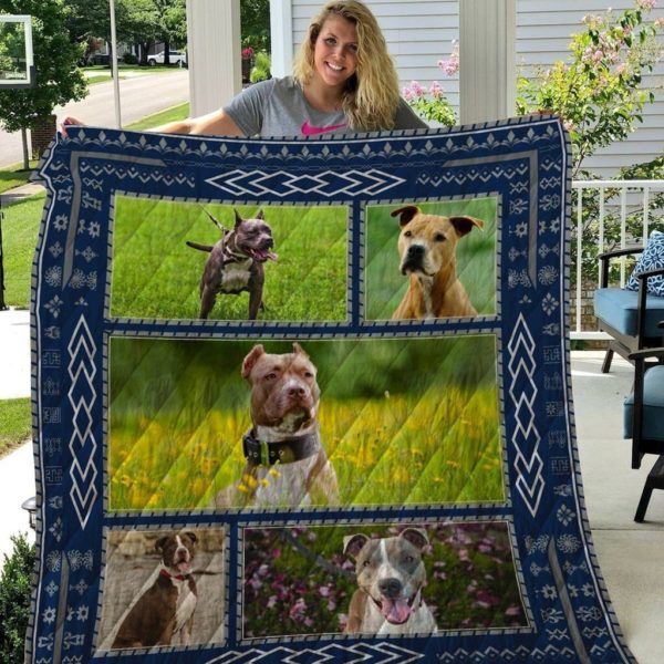 American Pit Bull Terrier Qui64002 3D Quilt Blanket HGM46