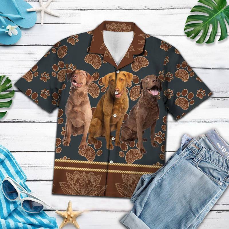 Chesapeake Bay Retriever Flower Paw Hawaii Shirt Ha103589