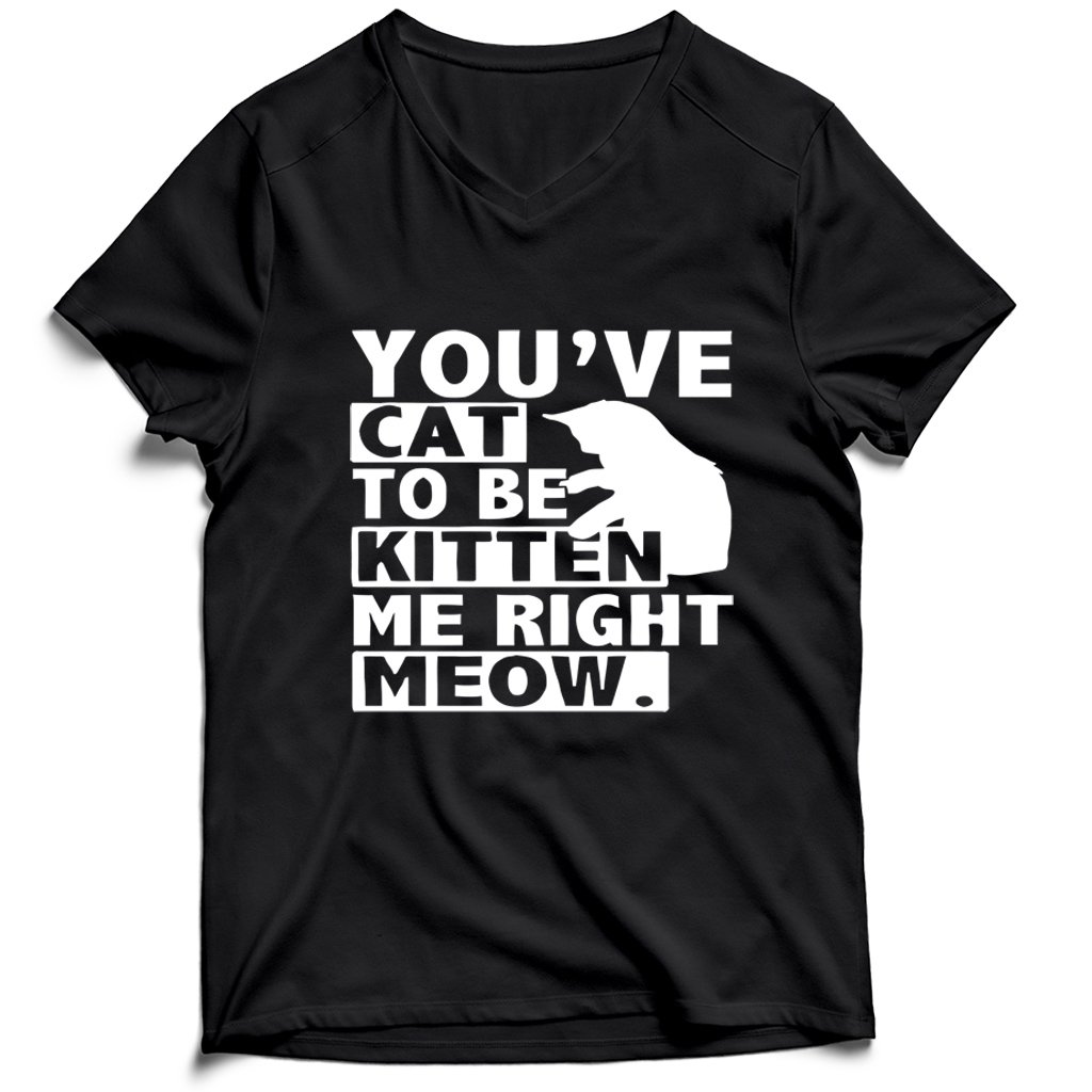 Are You Kitten Me Right Meow Of Men’s V-Neck Tee T-Shirt