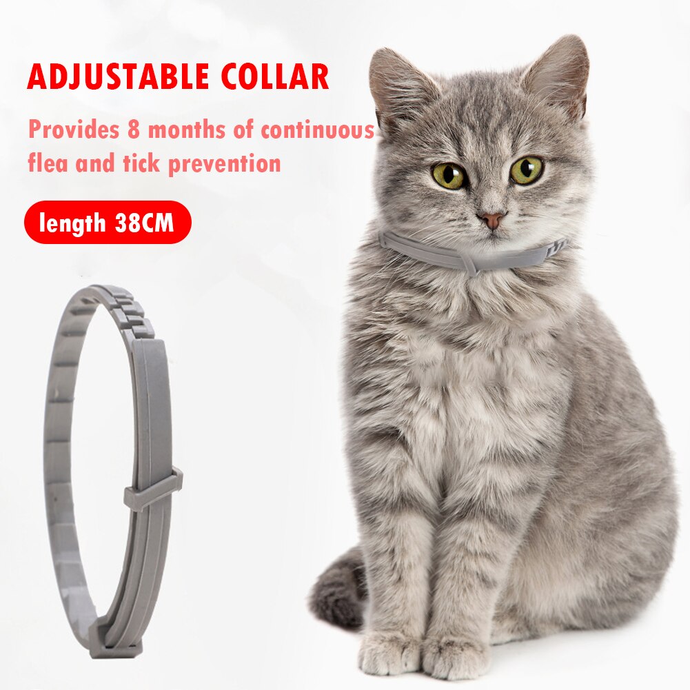 Anti Flea Tick Collar For Dog Cat, Dog Antiparasitic 8Month Protection Adjustable Collar For Large Dog Puppy Cat, Dog Accessorie alx