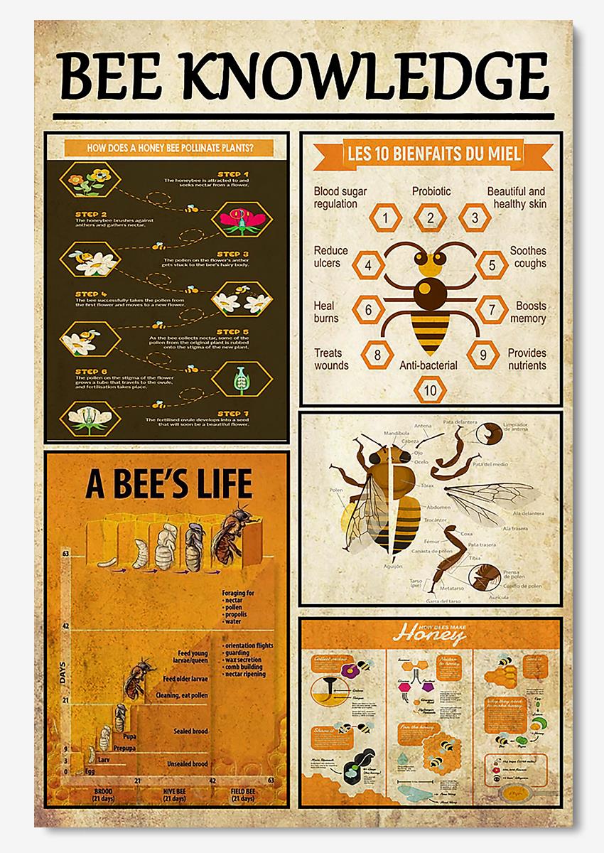 Bee Knowledge Wall Art For Beekeeper Farmhouse Decor Poster