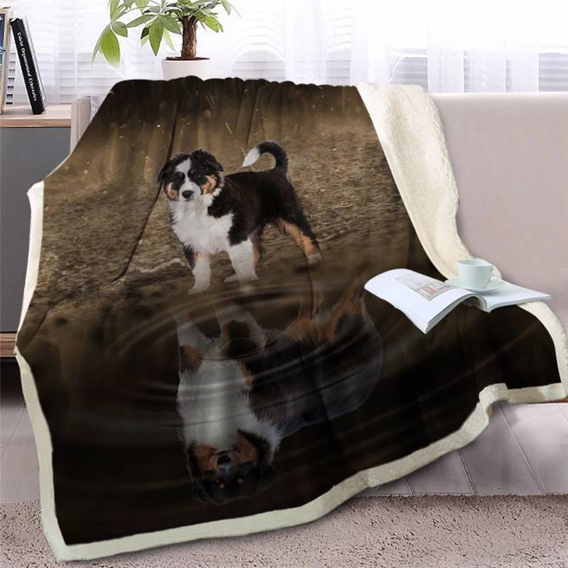 Puppy Bernese Mountain Dog Looking At Reflection CLH2511378F Sherpa Fleece Blanket