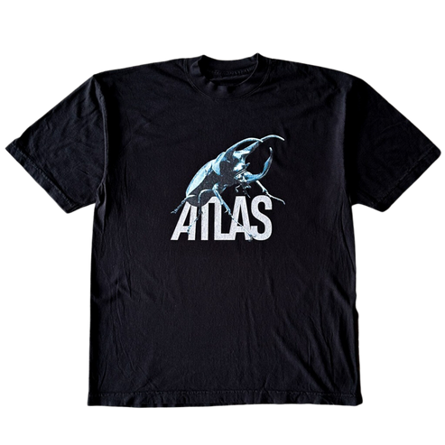 Atlas Beetle Tee Shirt Outfit