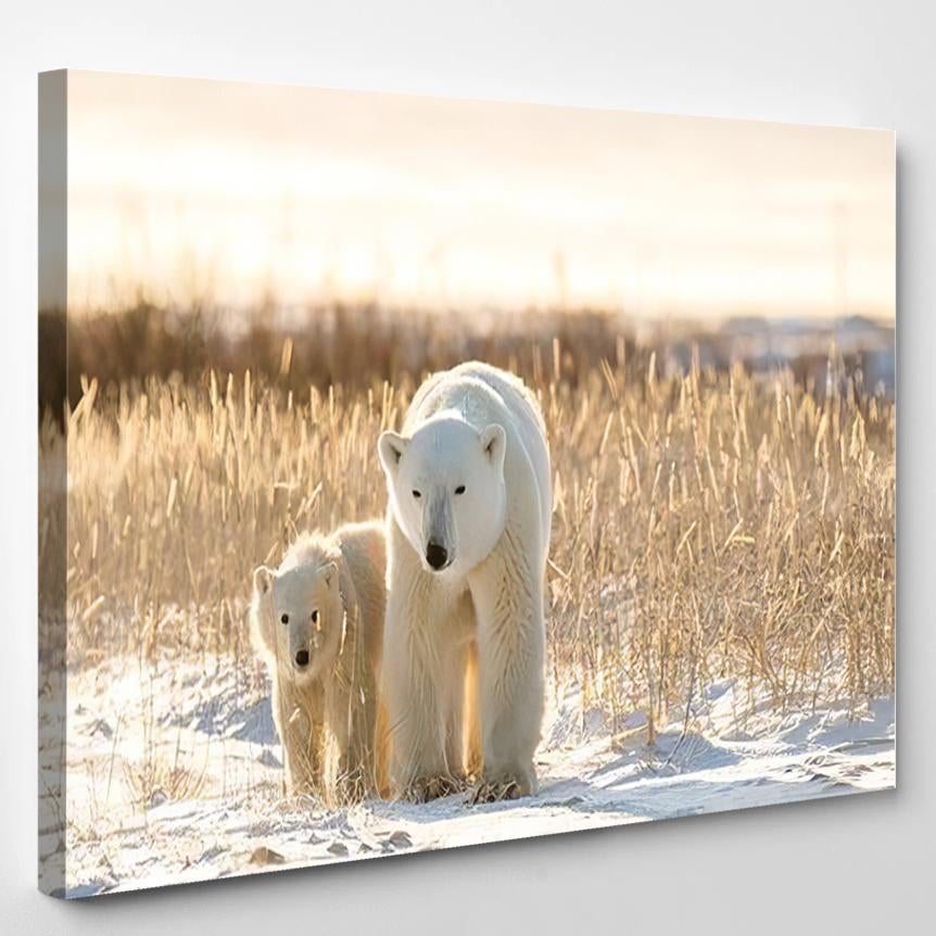 Polar Bears On Tundra Arctic Sunset – Bear Animals Canvas Print