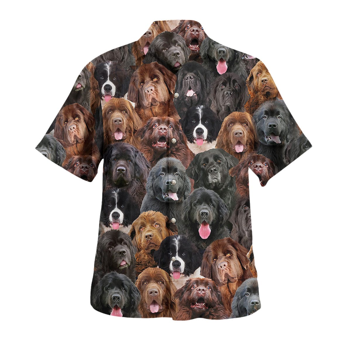 Newfoundland Dog You Will Have A Bunch Of Dogs Hawaii Shirt Ha51643