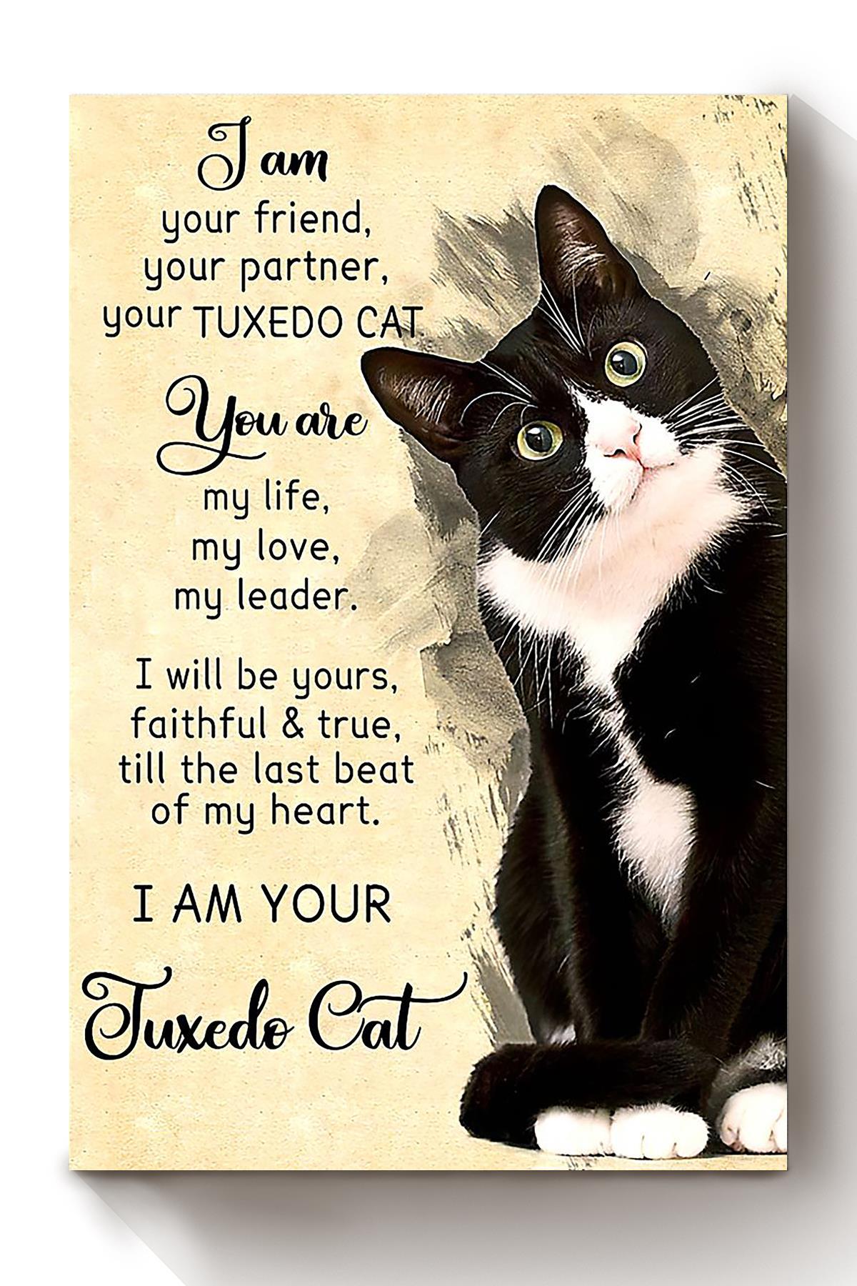 Tuxedo Cat I Am Your Animal Wall Art Gift For Cat Lover International Cat Day Kitten Foster Canvas