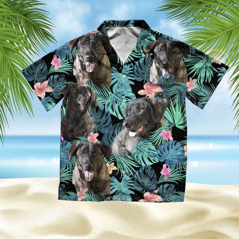 Felacia Portuguese Cattle Dog Summer Leaves Hawaii Shirt Ha85434