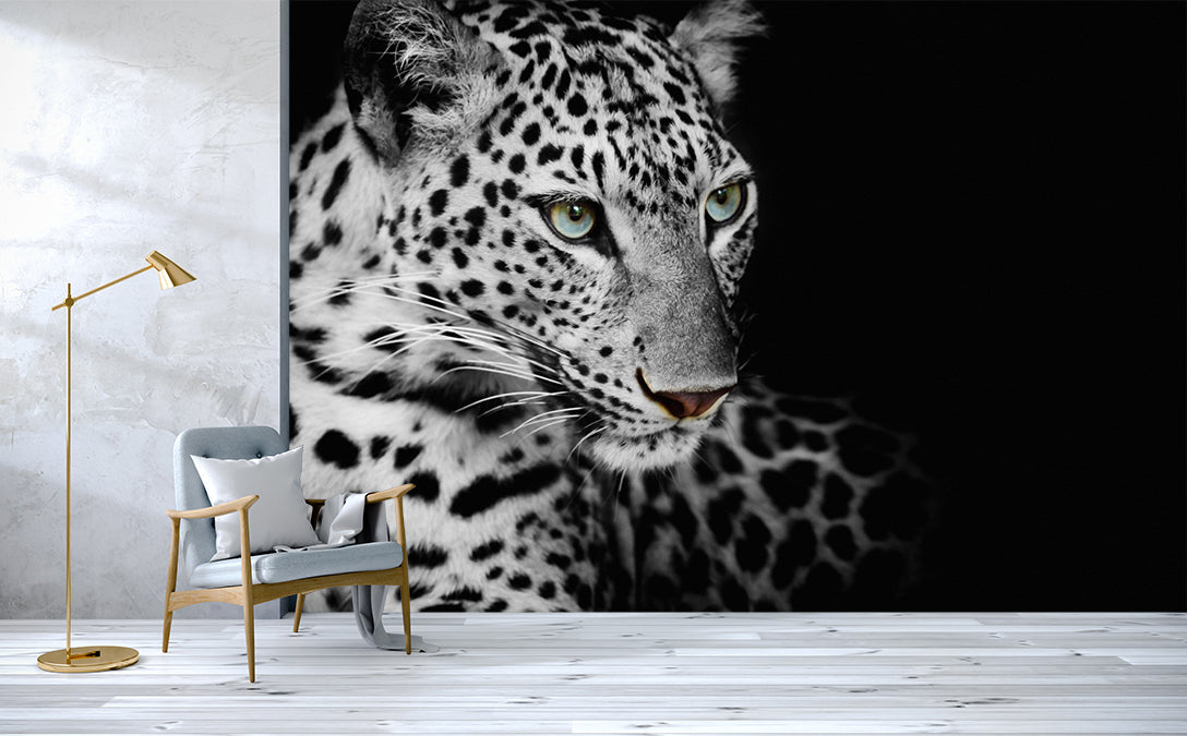 3D Black White Leopard Wall Mural Wallpaper 193