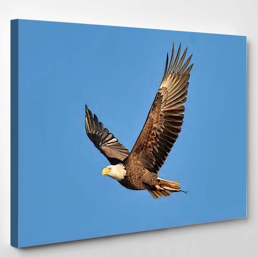 American Bald Eagle Flight Mode – Eagle Animals Canvas Print