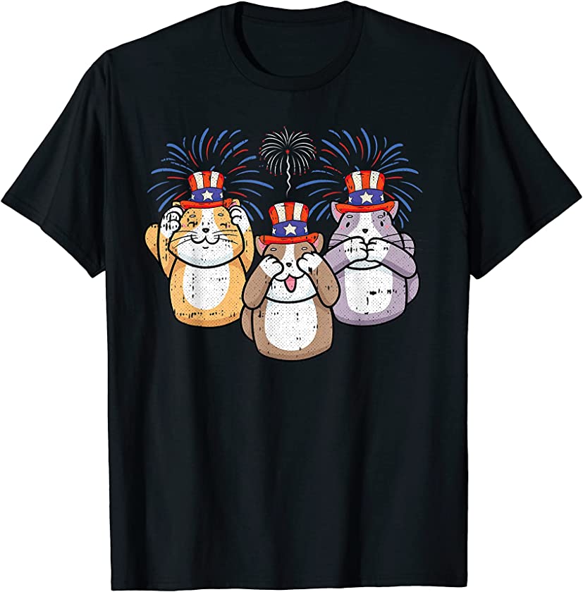 Cat Fireworks 4th Of July Cute Patriotic Kitten Kitty T-Shirt