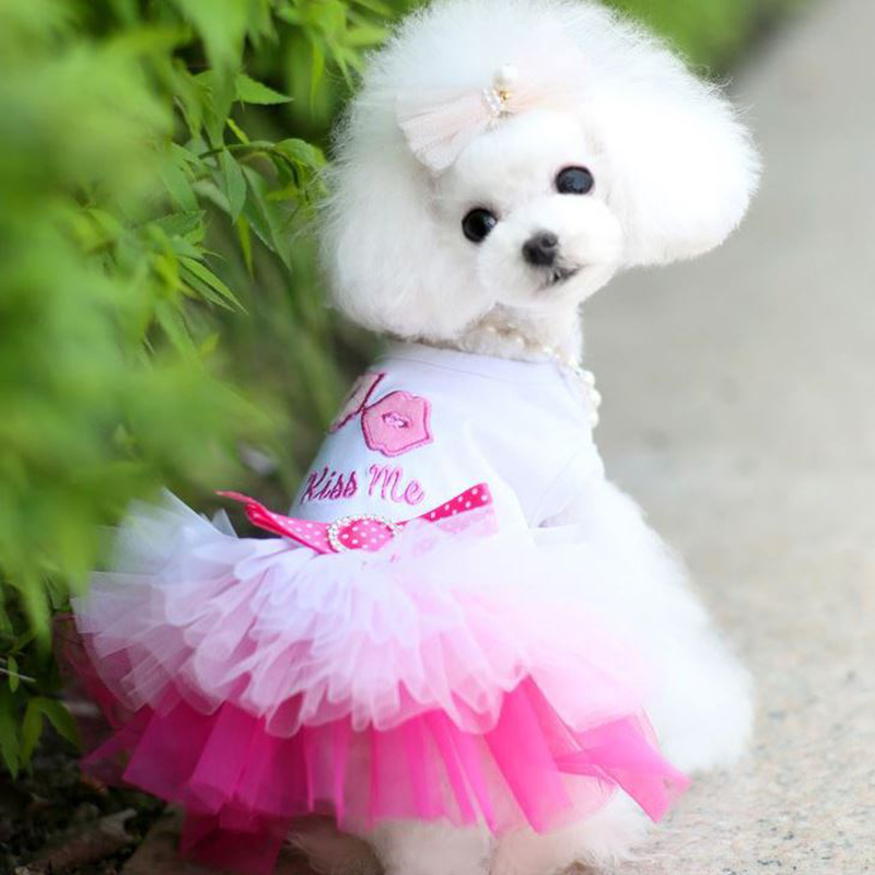 Dog Clothes for Small Dogs Dress Sweety Princess Dress That All Seasons Puppy Lace Princess Apparel Chihuahua Dog alx