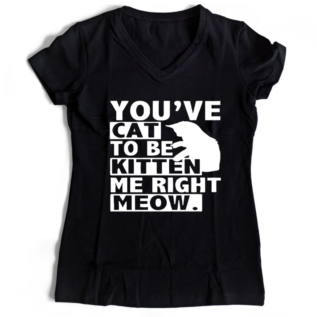 Are You Kitten Me Right Meow Of Women’s V-Neck Tee T-Shirt