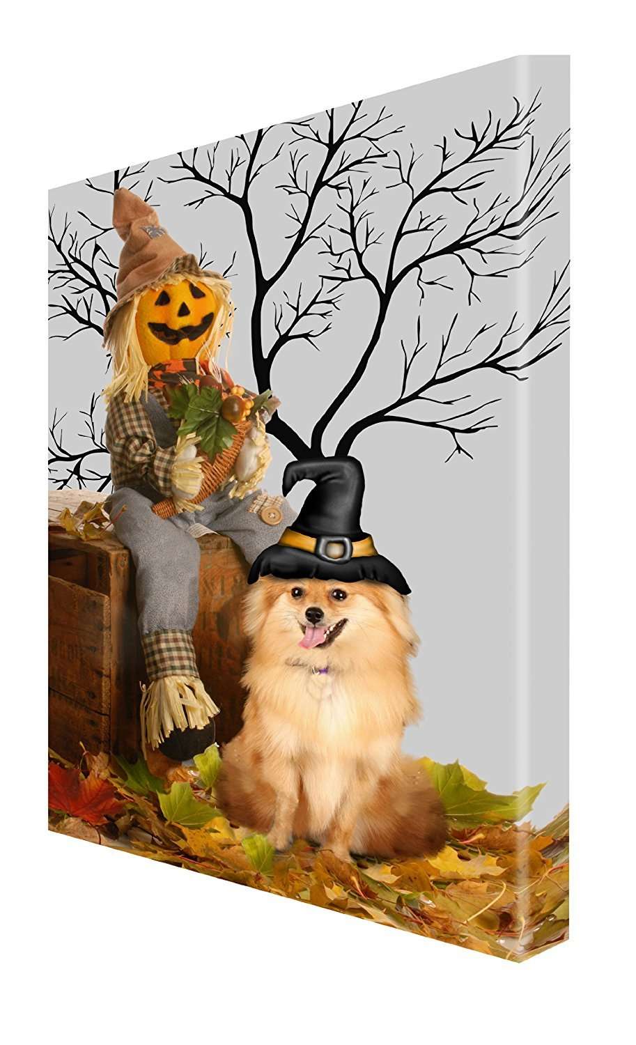 Pomeranian Dog Halloween Canvas 18 X 24