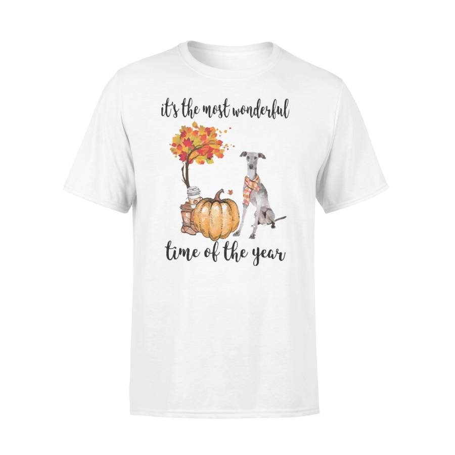 Fall Pumpkin It’s The Most Wonderful Time Of The Year Italian Greyhound T-Shirt