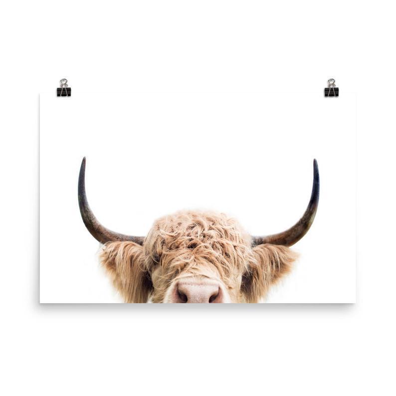 Highland Cow Poster, Peeking Cow Print, Farm Animal, Animal Wall Art, Print For Nursery, Ranch Print, Peekaboo Animal, Printed Art