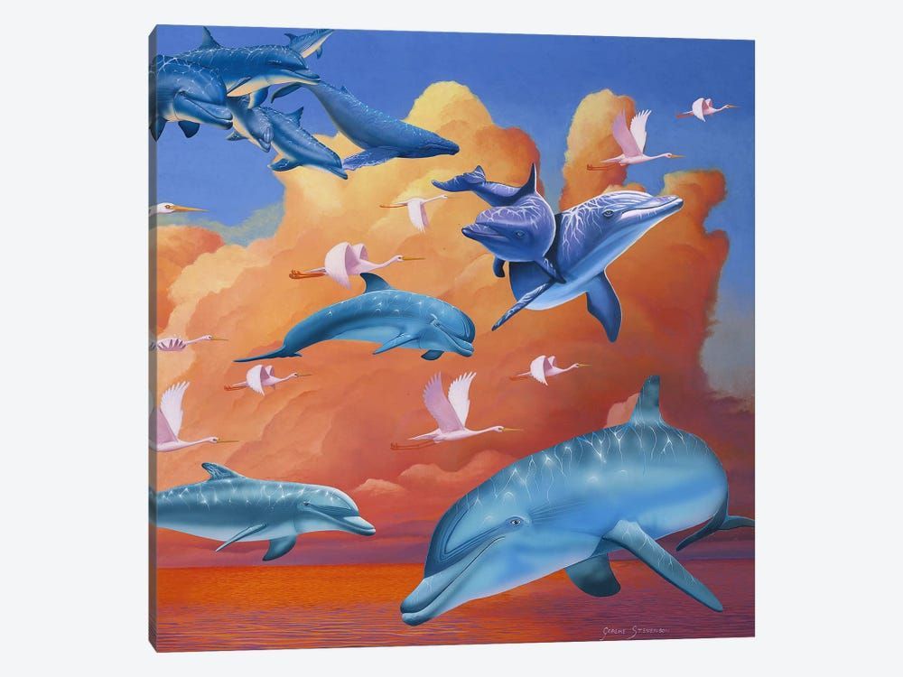 Dolphins Clouds Canvas Poster 8″x12″ 12×18″ 18″x26″ 24″x36″ 30″x45″