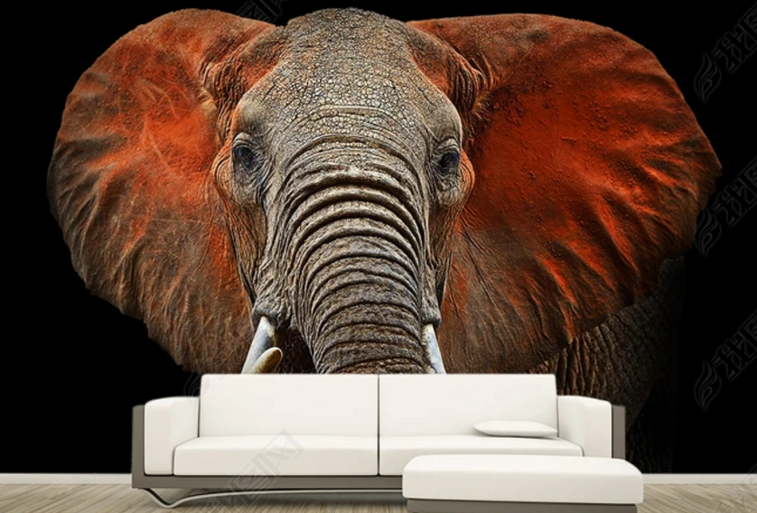 3D Animal Black Elephant Wall Mural Wallpaper Lqh 62