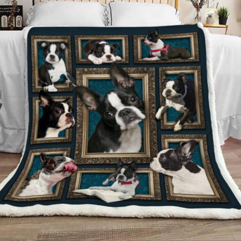 Boston Terrier Sherpa Blanket DCB2802 90O41