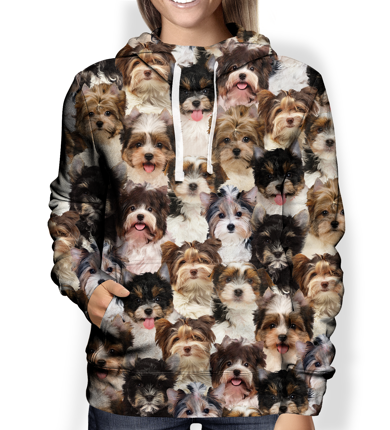 You Will Have A Bunch Of Biewer Terriers – Hoodie V1