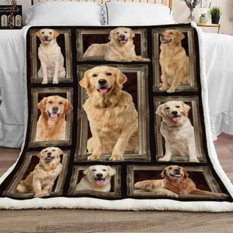 Golden Retriever Dog Sherpa Blanket JR1803 81O57