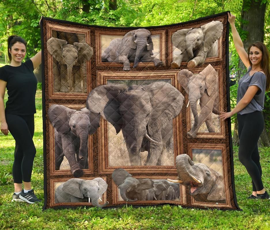 Vivid Elephant  Baby Elephant  Elephant With Big Tusk  Quilt Blanket