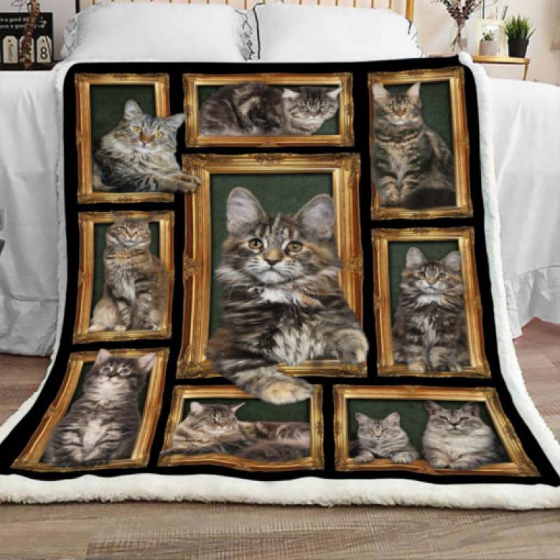 Maine Coon Cat Sherpa Blanket JR0901 70O49