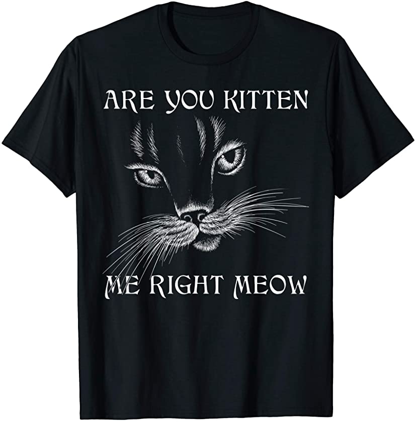 Are You Kitten Me Right Meow Shirt Funny Cat Lover Cat Joke T-Shirt