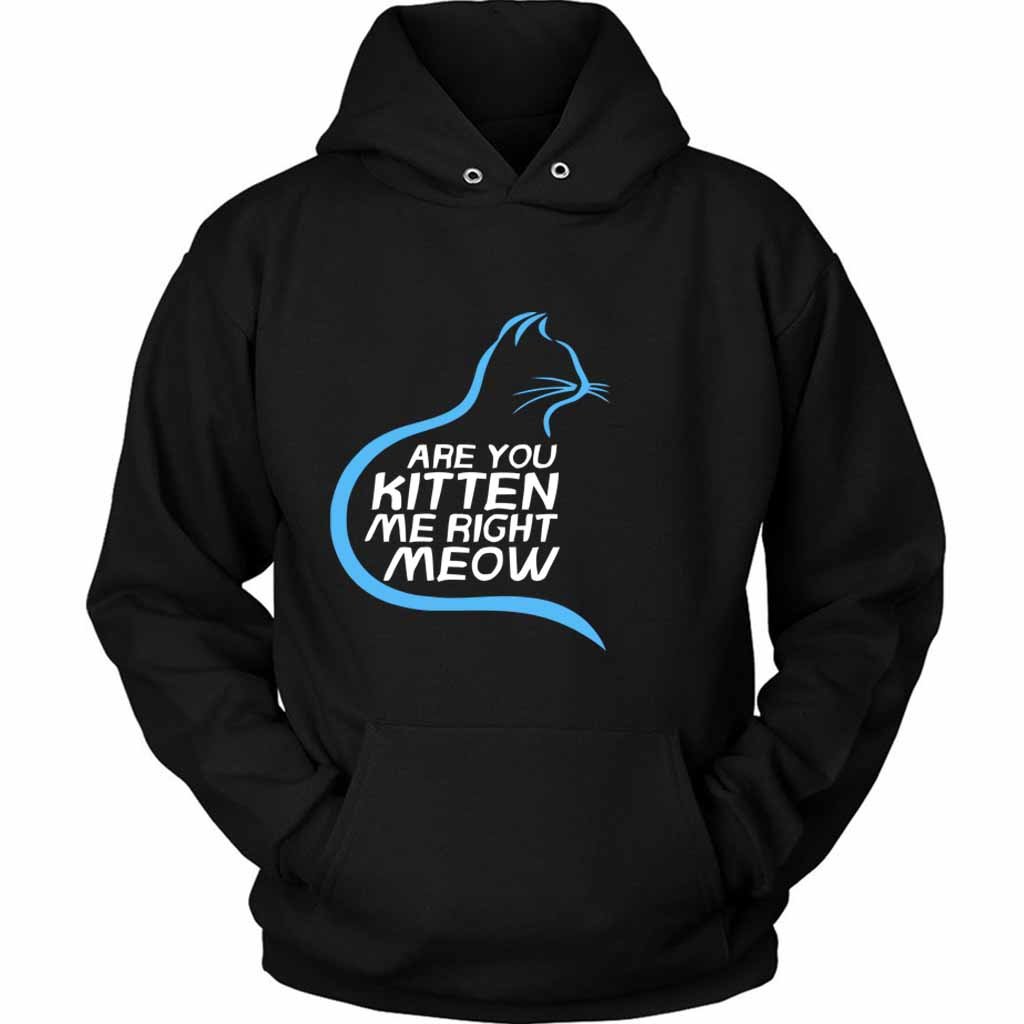 Are You Kitten Me Right Meow Hiden Unisex Hoodie